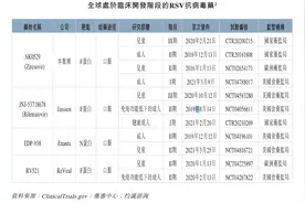 君实生物披露新冠口服药VV116最新研究成果：对呼吸道合胞病毒RSV感染有潜在治疗作用图片