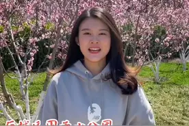 壹览历城｜四月桃花盛开，围子山公园繁花似锦图片