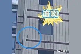 济南一居民楼遭啄木鸟啄墙 , 每天七八点准时 网友：里面有懒虫…图片