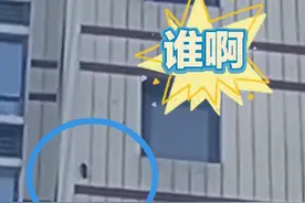 济南一居民楼遭啄木鸟啄墙 , 每天七八点准时 网友：里面有懒虫......图片