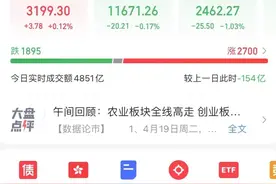 打新的哭了！中一签亏13000：上市首日暴跌超20%！更有券商包销巨亏8000万！千亿白马股突然跌停，发生了什么？图片