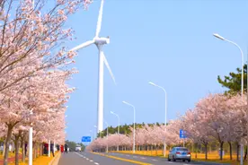 “花花世界”迷人眼！快来解锁威海限量版春天图片