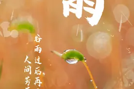 新华全媒+｜谷雨：品茗“吃春”好时候 人间芳菲已向暖图片