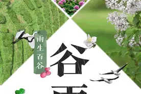 节气里的中国丨谷雨：雨生百谷图片