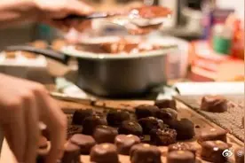 为何不能给狗吃巧克力图片