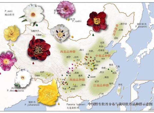 谷雨时节赏牡丹，还有哪些农事、乐事？