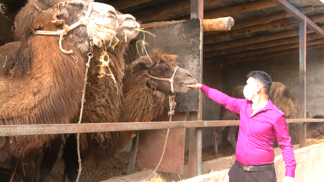 涔℃潙鎸叴锛氭柊鐤嗛樋鍏嬭嫃甯傦細鑷村瘜璺笂椹煎ザ棣? onerror=