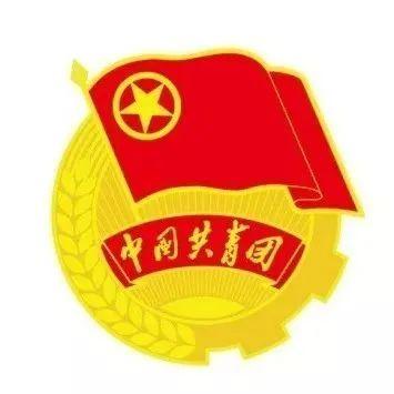 入团日期怎么查（入团流程及入团仪式基本流程）