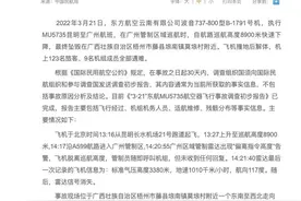 关于“3•21”东航MU5735航空器飞行事故调查初步报告的情况通报图片