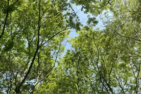 扫街长沙：逃婚小伙云游时，居无定所的大叔正在祝所有人幸福图片