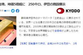 日本一主题公园展出世界最大金块：重500斤 价值超1亿元图片