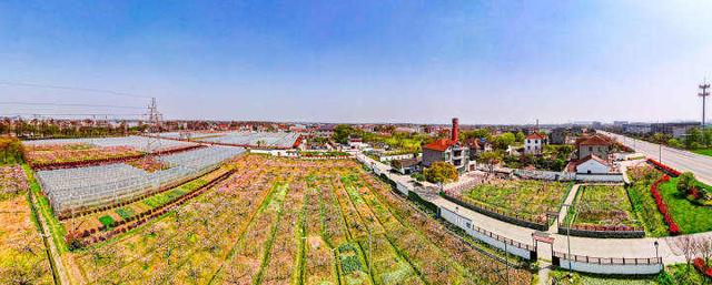 开往春天的101路公交：习近平同志曾经搭乘的这趟城乡公交车 见证了嘉兴牢记嘱托 统筹城乡发展发生的变化