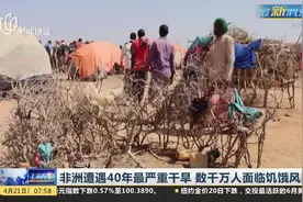非洲遭遇40年最严重干旱 数干万人面临饥饿风险视频封面