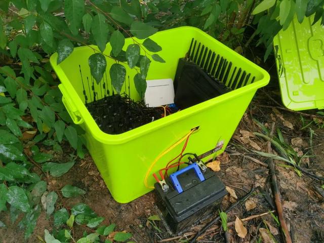 最高检发布打击治理电信网络诈骗及关联犯罪典型案例