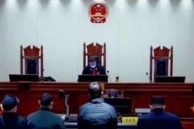 打到猫头鹰后放生仍获刑，法院：危害保护动物犯罪事实已成立图片