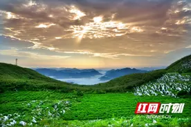 益阳安化：青山无限好 茶乡蕴新机图片