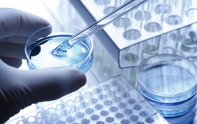 从AlphaGo到AlphaFold，什么是AI工具的最佳用法？