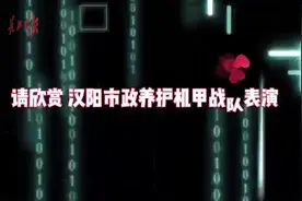 《小鸡恰恰舞》全民翻跳，机器也坐不住了图片
