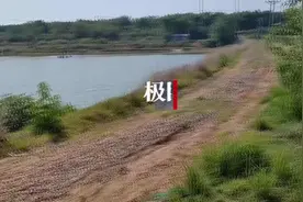 武汉爱心老板捐资修路，建美丽村落圆“童年梦想”图片