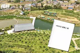 蹲点日记⑨|在鱼溪镇感受资中鲶鱼产业的“V型曲线”图片