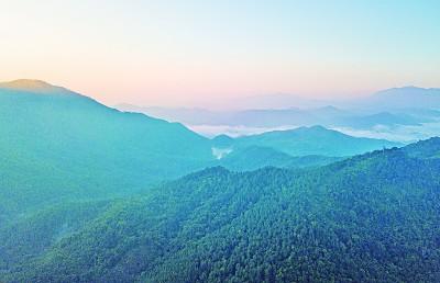 海南热带雨林国家公园：只为青山猿鸟乐