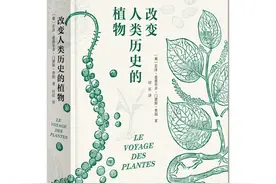 被誉为“地球上最漂亮的水果”，凤梨如何征服世界？图片