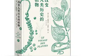被誉为“地球上最漂亮的水果”，凤梨如何征服世界？图片