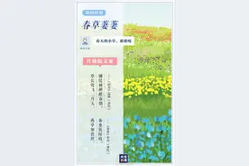 快收好！18个关于春天的神仙文案图片