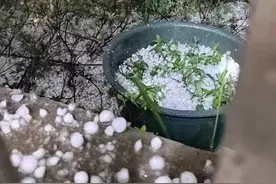 厚得像积雪！昨夜，贵州这里突降冰雹！当地人：没见过这么大的冰雹图片
