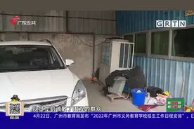 东莞：两米眼镜蛇溜入厂房 消防紧急出动抓捕视频封面