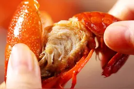 小龙虾毒素最多？听听医生说：小龙虾怎么吃才健康？图片