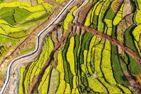 钱塘江·屐处留痕丨《南货店》里的宁海味图片