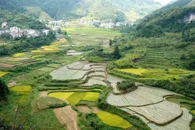 中国一汽帮扶干部实录｜陈跃：起跑线和发展线，一线都不能少图片