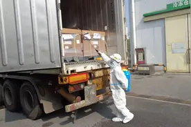 中国液晶面板企业，在全球化产业链上战“疫”图片