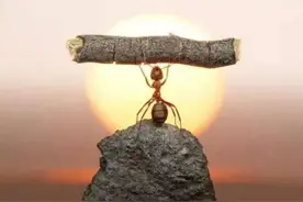 滑溜书院 |孙会昌：知足知不足 有为有不为图片