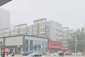 河南一村庄疑出现蛇群，官方回应视频封面