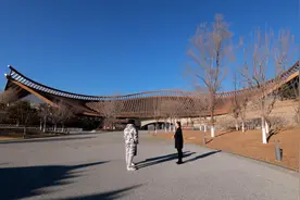 探秘奇妙植物王国 玩转春日露营市集《我的桃花源》第二季第12期今晚开播图片