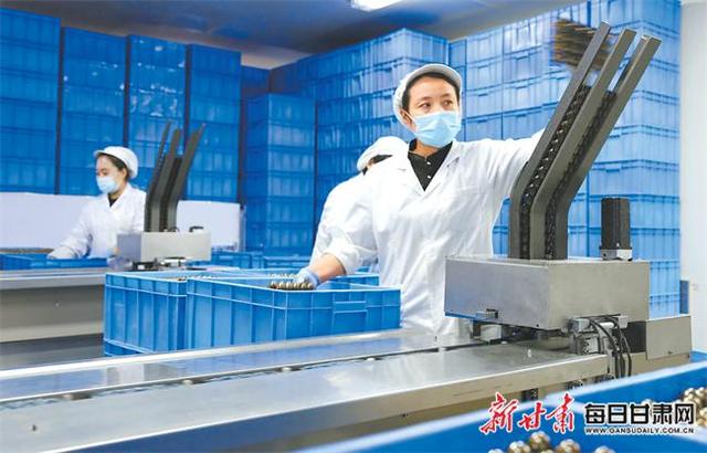 枝繁巢暖引凤栖——庆阳市优化营商环境工作综述