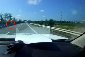 吓出一身冷汗！老人竟骑行电动三轮车在高速公路超车道上逆行图片