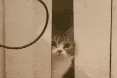 事关五一出行！进出深圳最新防疫政策来了图片