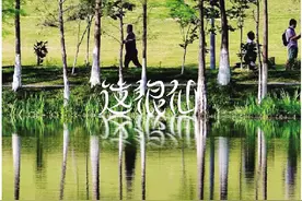 东莞植物园图片