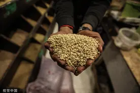 粮价飙涨！俄乌冲突引发粮食危机，专家：本不缺，大家一抢就缺了图片