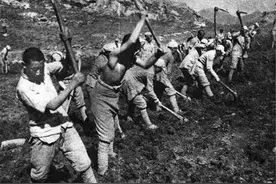 1939年陕甘宁边区种菜，统帅勤劳天下夸图片
