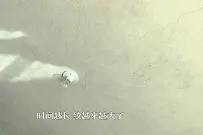 新房房顶下沉2厘米 居民质疑质量有问题图片