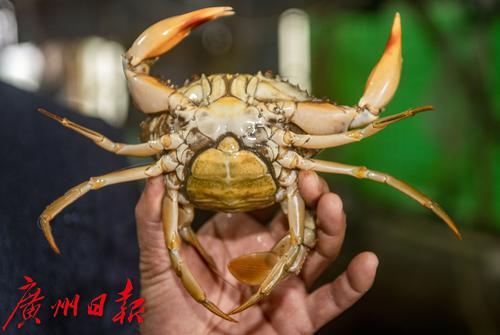 韬竟濂界墿鈶犱辅鈥滆煿涓寘鍙扳€濇繁钘忓崡娌? onerror=