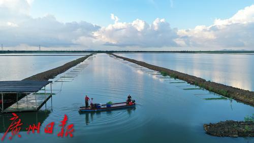 韬竟濂界墿鈶犱辅鈥滆煿涓寘鍙扳€濇繁钘忓崡娌? onerror=