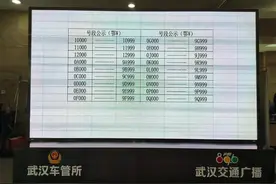 鄂W8E999，千呼万唤出来了图片