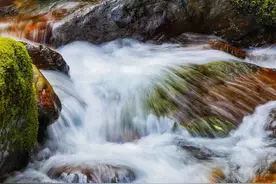 【春看瓦屋】2022年4月25日图片