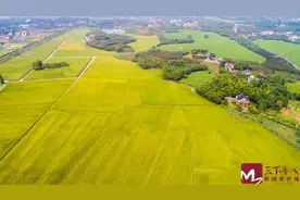 济南拟征收14个村居土地 保障起步区基础设施建设图片