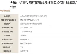 北京涉疫旅行社此前或已注销 母公司已决议解散图片